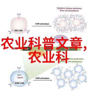 猪鼻炎防治方法
