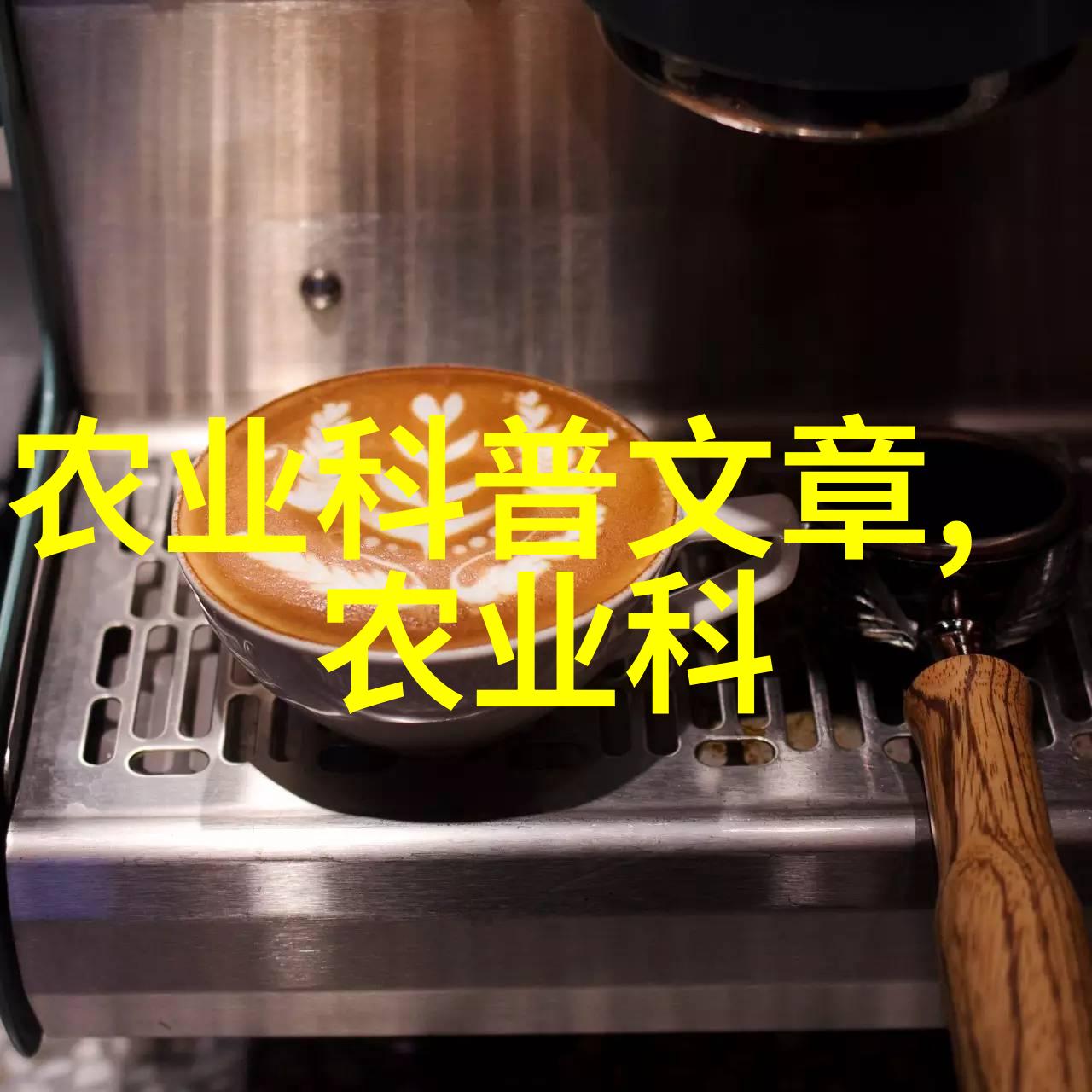 四季果树之美一年四季都开花结果的神奇果树