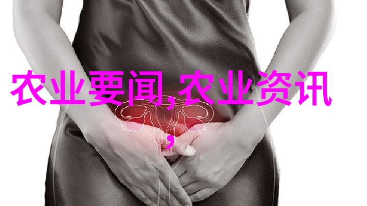 甜蜜蜂舞探索养蜜蜂的乐趣与挑战
