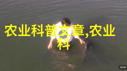 机械设备-皮带机的工作原理与应用