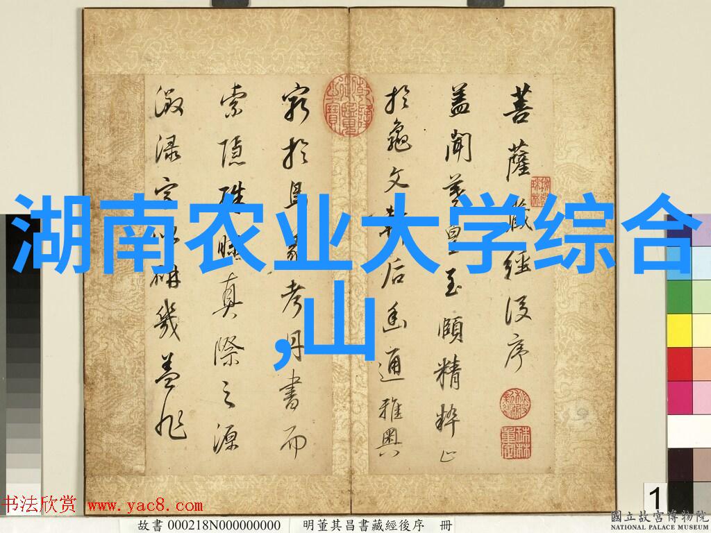 新疆数字乡村发展调研报告2023发布 县域数字乡村建设全面升级
