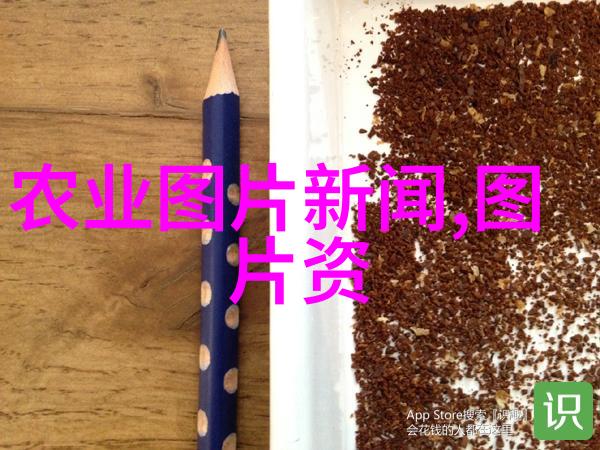 养牛合作公司如何确保可持续发展