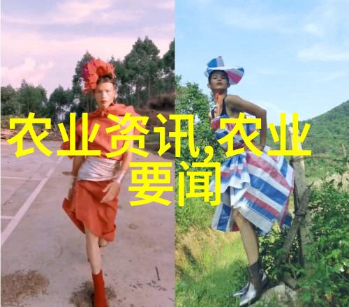 民法典全景法律体系的基石与纽带