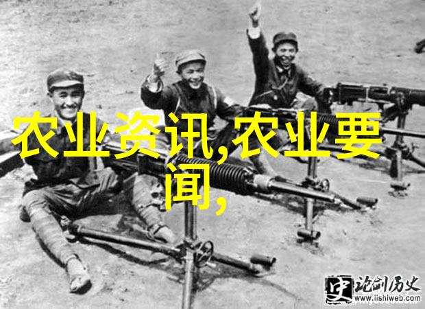 物料提升机重力之手效率的翅膀