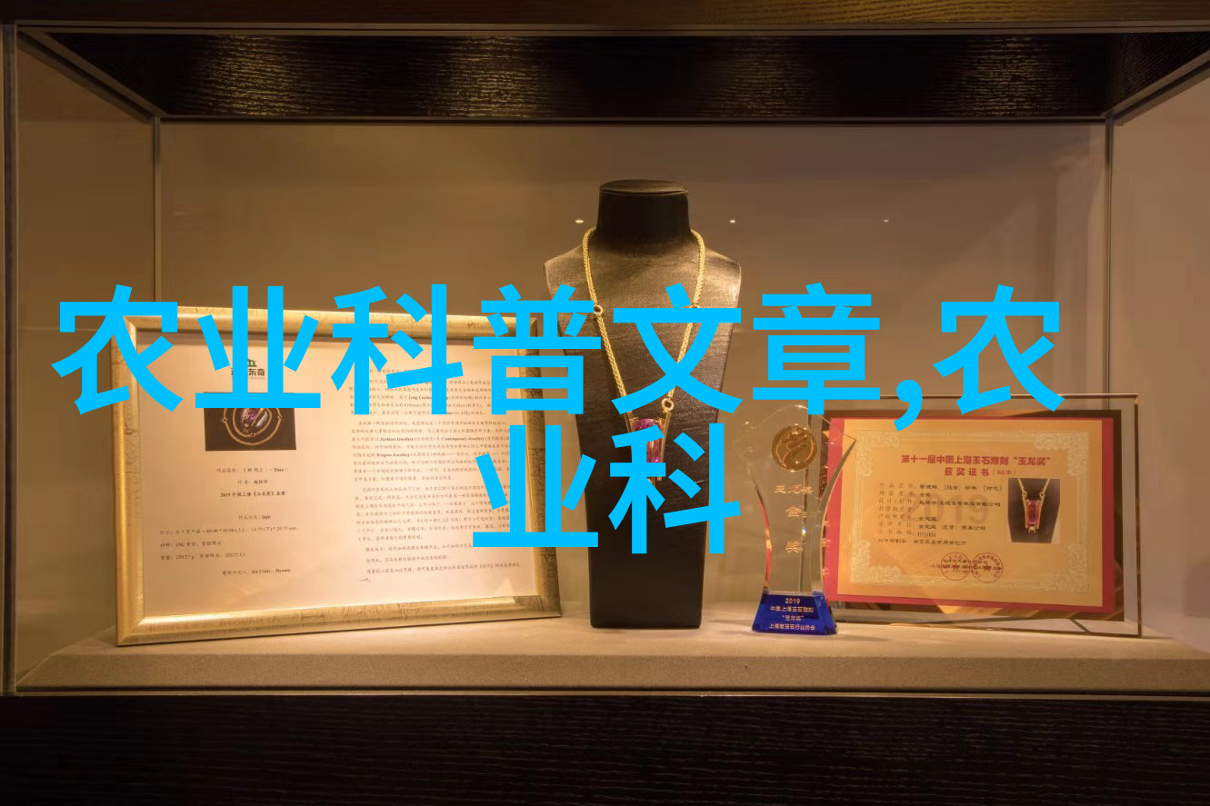图1：满园盛开的小菊竹