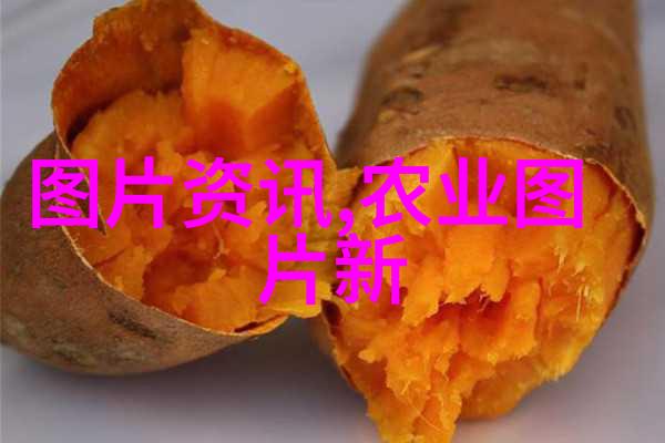 未来趋势探讨人工智能在竹鼠养殖中的应用前景与挑战