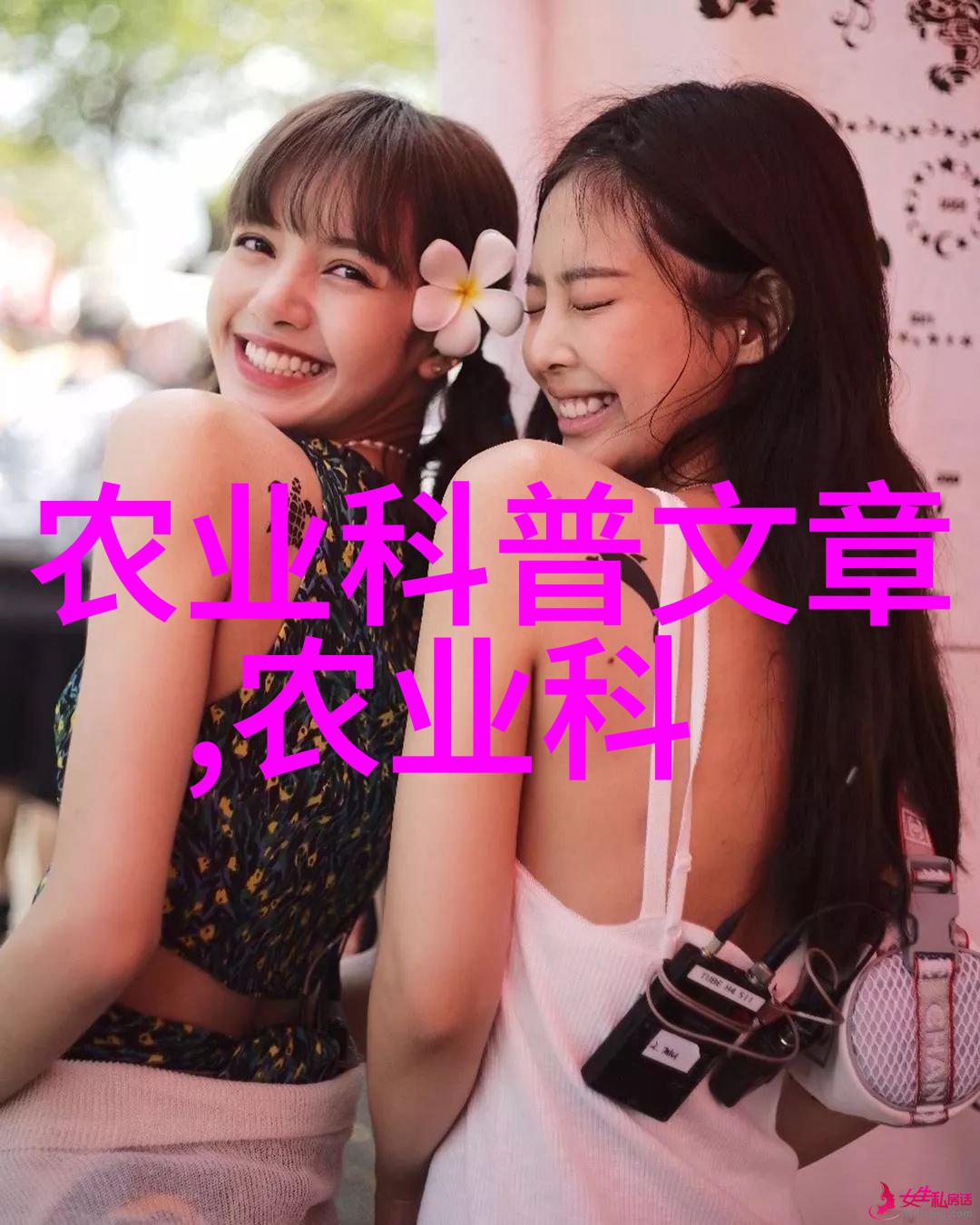蜜蜂养护如何高效地自己养一箱蜜蜂