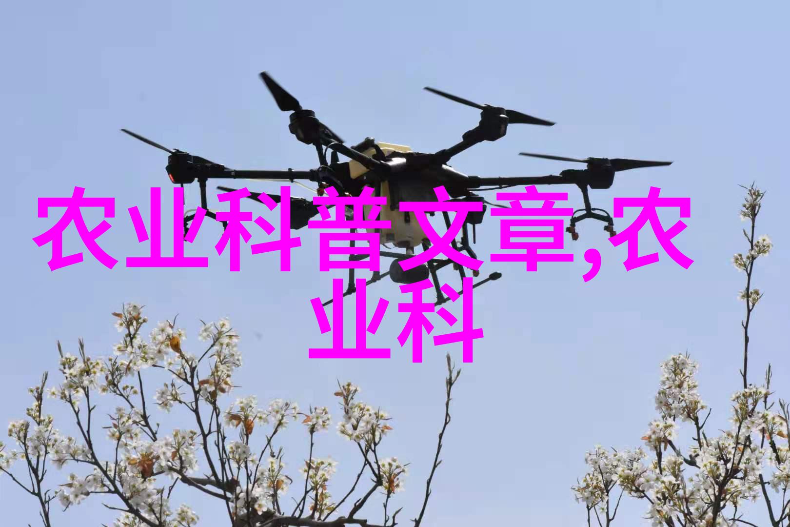 抓紧每一口了解正确的茶叶饮用方法与功效
