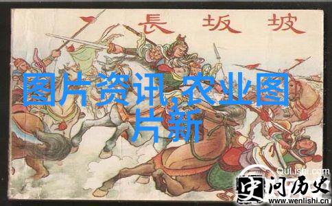 政策与法规试题与答案法律知识的实践检验