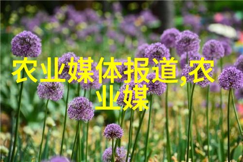 物料提升机钢铁之脊梁上的翱翔者