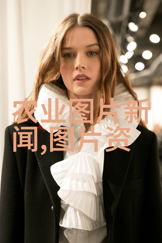 如何经济高效地建造和维护大棚菜新式大棚