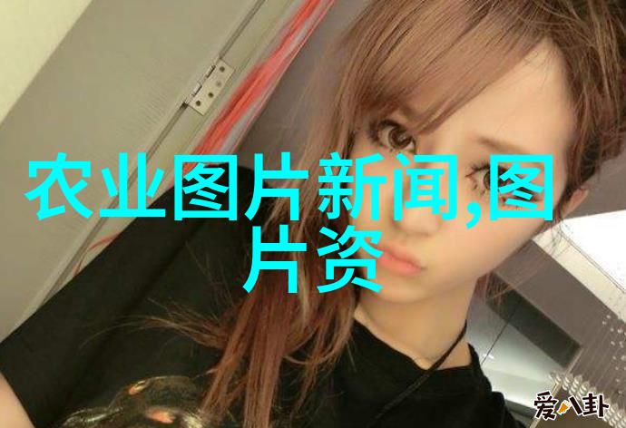 怎样进行郁金香的盆栽以便在室内也能欣赏到它的美丽