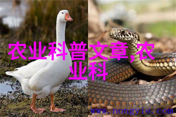 晚秋蚕白僵病的发生与防治