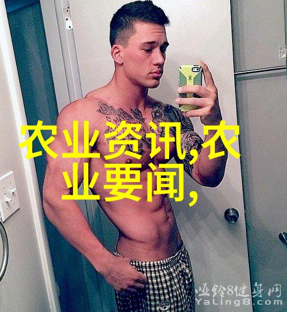 5脾蜂过冬养护秘诀精确计算白糖喂食量