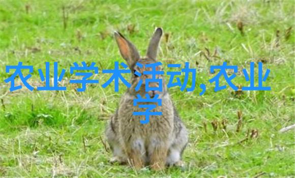 贵阳苗木批发市场春天的第一笔画卷