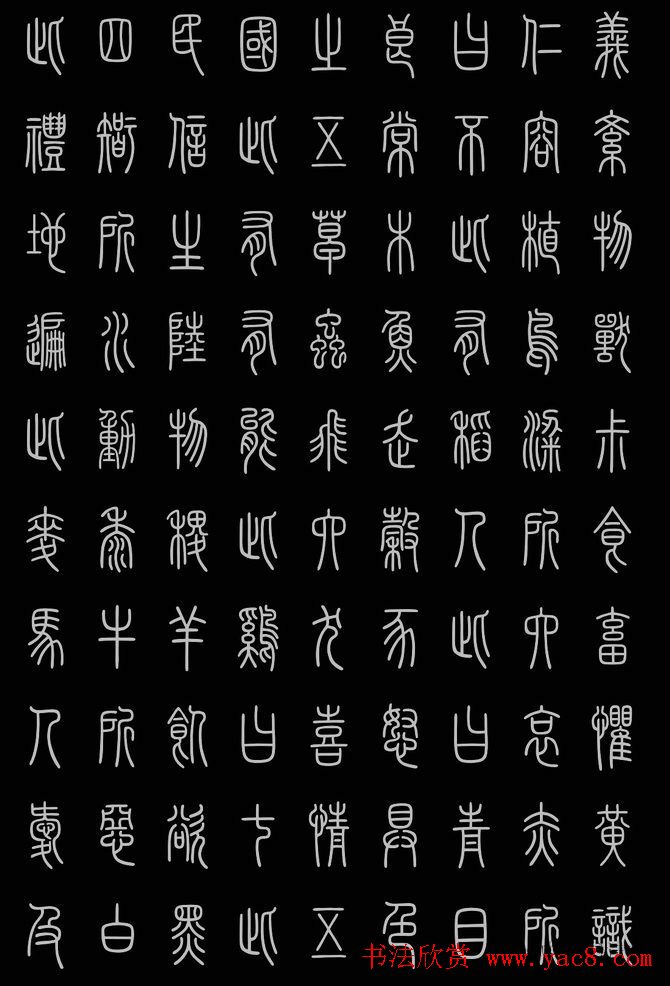 环境因素对桑黄种植影响深远
