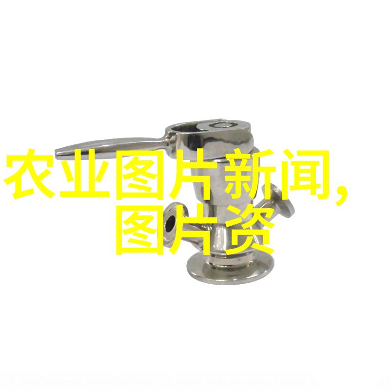 春日里的果实探索带种子的水果图片的魅力