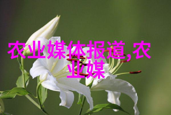 建大棚费用预算家庭菜园建设成本计算