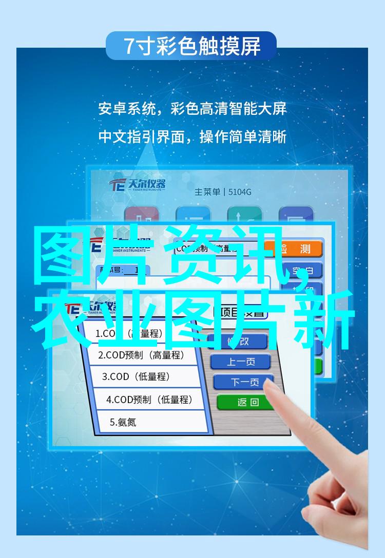 羊群之家如何规划和建设高效的羊养大棚