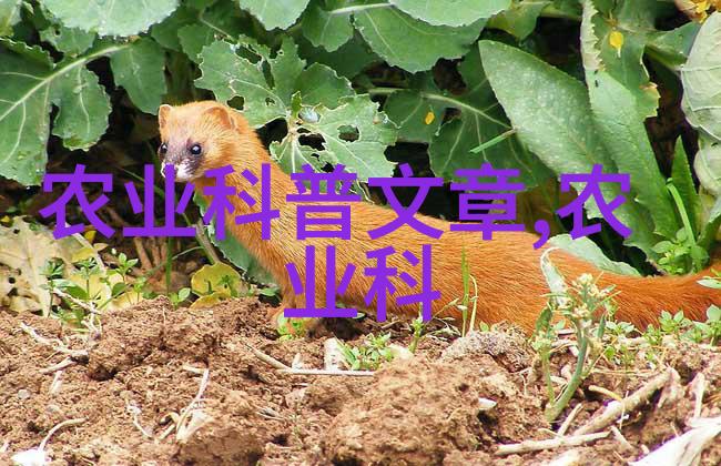 作为一家大型企业新希望集团有限公司在社会责任方面有哪些具体举措