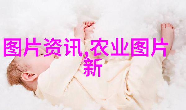 花盆种菜我的小灌溉乐趣