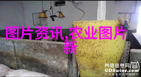 探索药材种植的投资成本从初期投入到长期回报