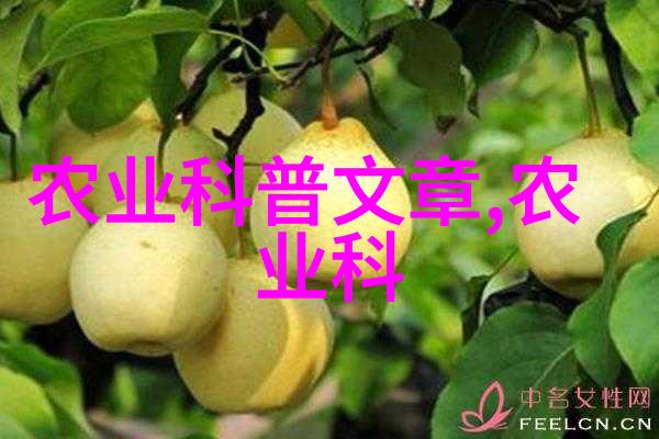 高效养蜂技术电子书我的蜂友宝典
