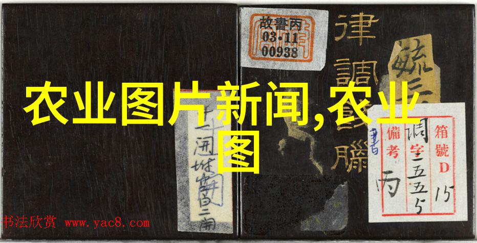 10公分法桐最新价格快来看看你能买到多少个