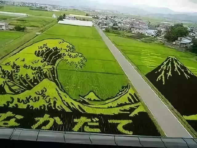 哪些市场需求对决定要养多少羊至关重要以确保每年的二十万元收入