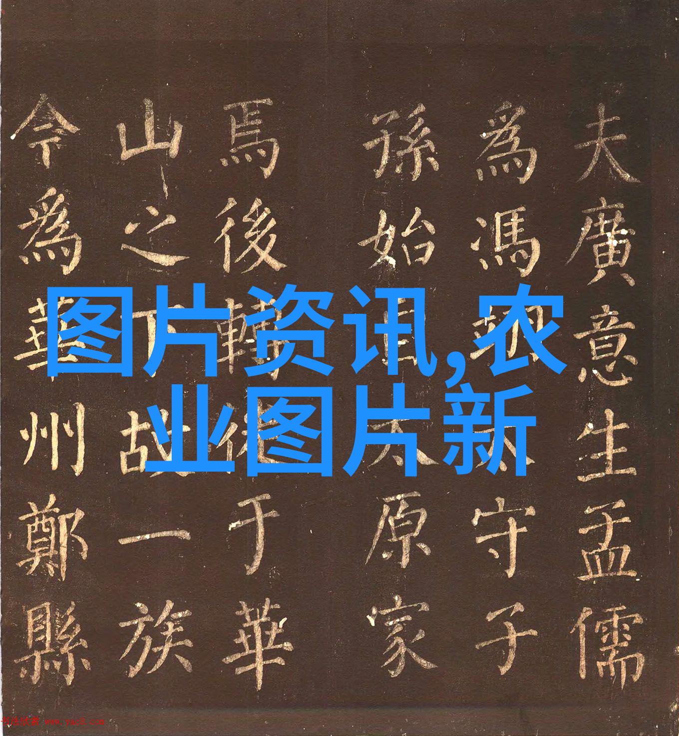 追踪古道揭秘茶的起源之旅
