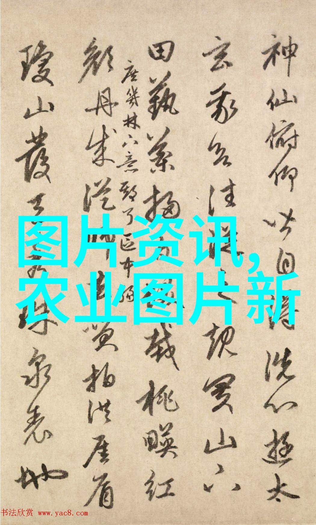 野鸡育肥技术秘籍快速增重方案