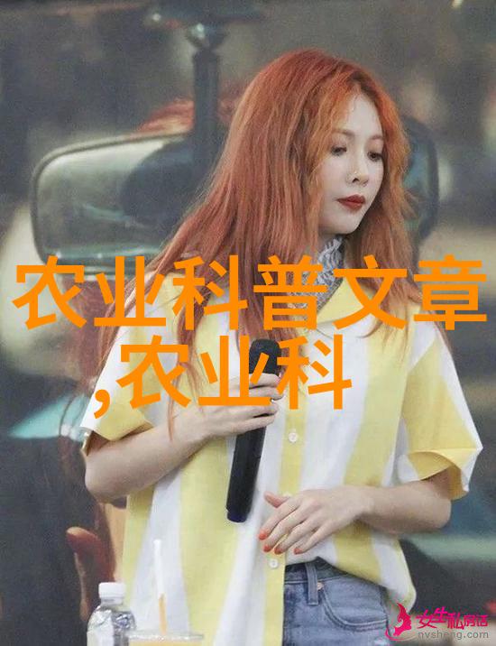 自给自足理念下为什么一些家庭在养羊中依然无法摆脱贫困状态