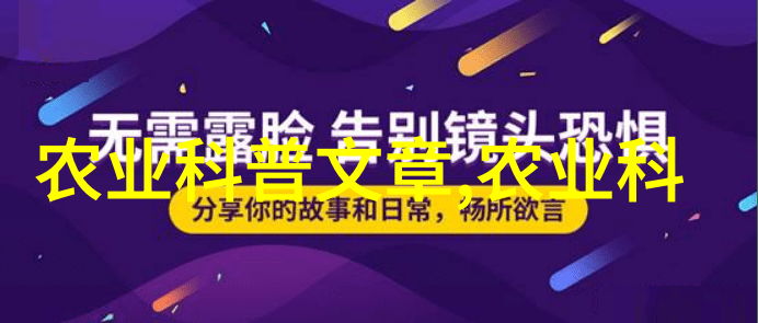 云南花卉批发基地探秘寻找最美的鲜花源头