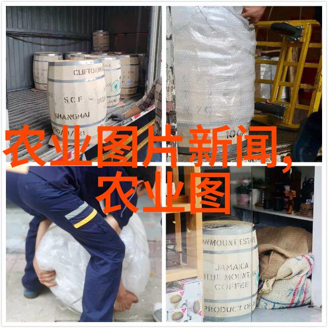 绿色黄金世界上哪些植物被称作是真正的大自然财富