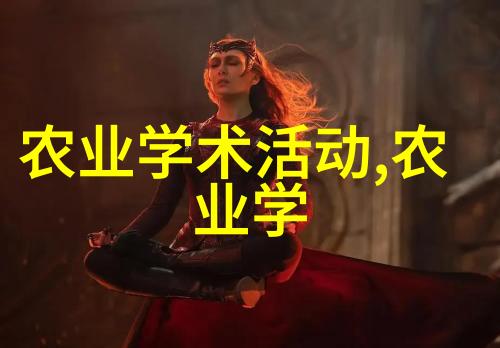 五十岁以上求职者面临哪些特殊挑战