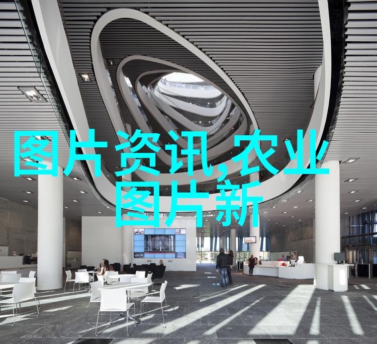 亲近自然远离压力室内最佳10个可爱植被选项