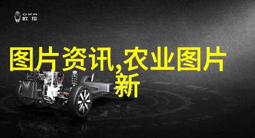 绿意盎然的金钱树探秘一年有收益的中药材