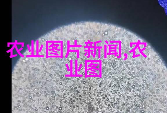 新鲜出炉揭秘周边社区内隐藏的小众但极具魅力的本土农产品集散中心