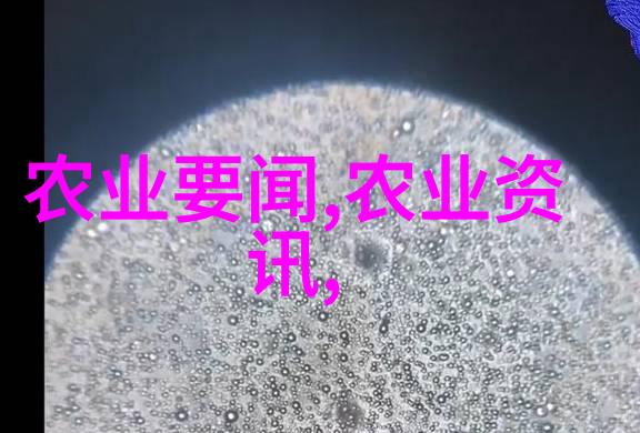 中国茶的基本知识-品鉴中国揭秘古韵中的茶艺