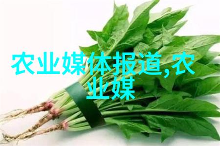 种在花盆里的秘密