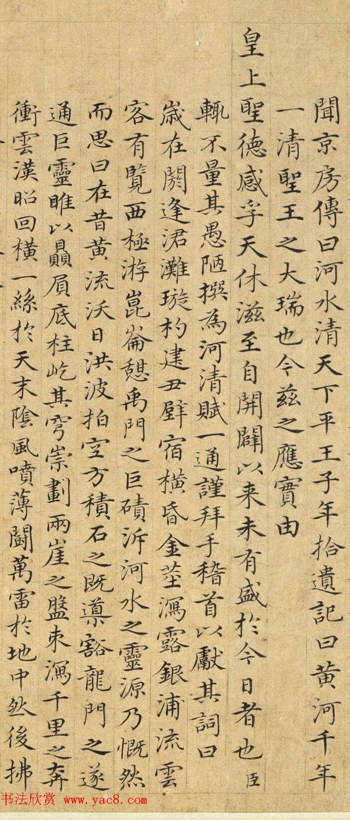 鸡舍管理与饲养技巧