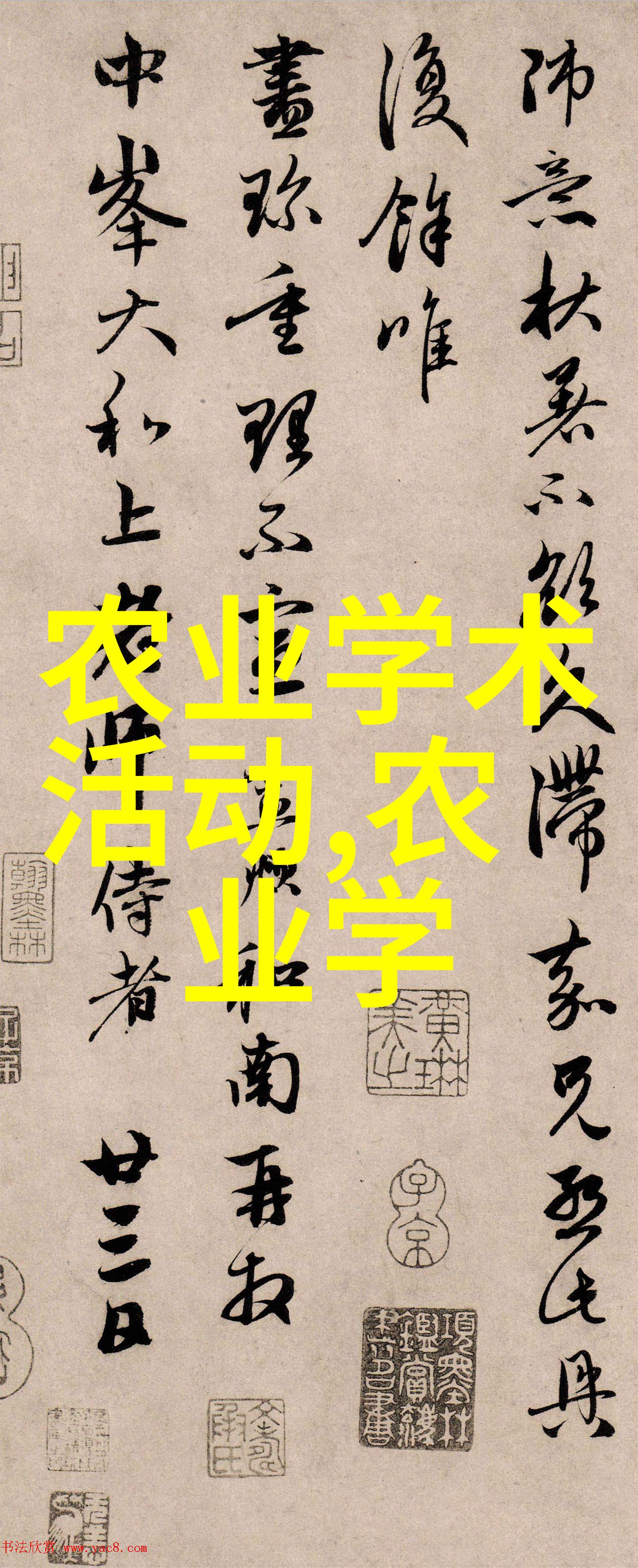 花草-绿意盎然探索园艺中的色彩与韵律