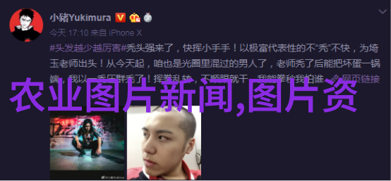 探索自然的甜蜜土洞养蜂技巧揭秘