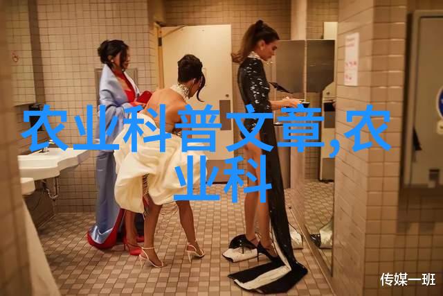 家庭装饰新趋势探秘室内十大吉利花种植技巧