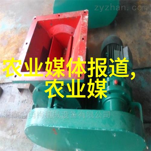 养殖技术-高效育肥母猪管理与营养优化策略