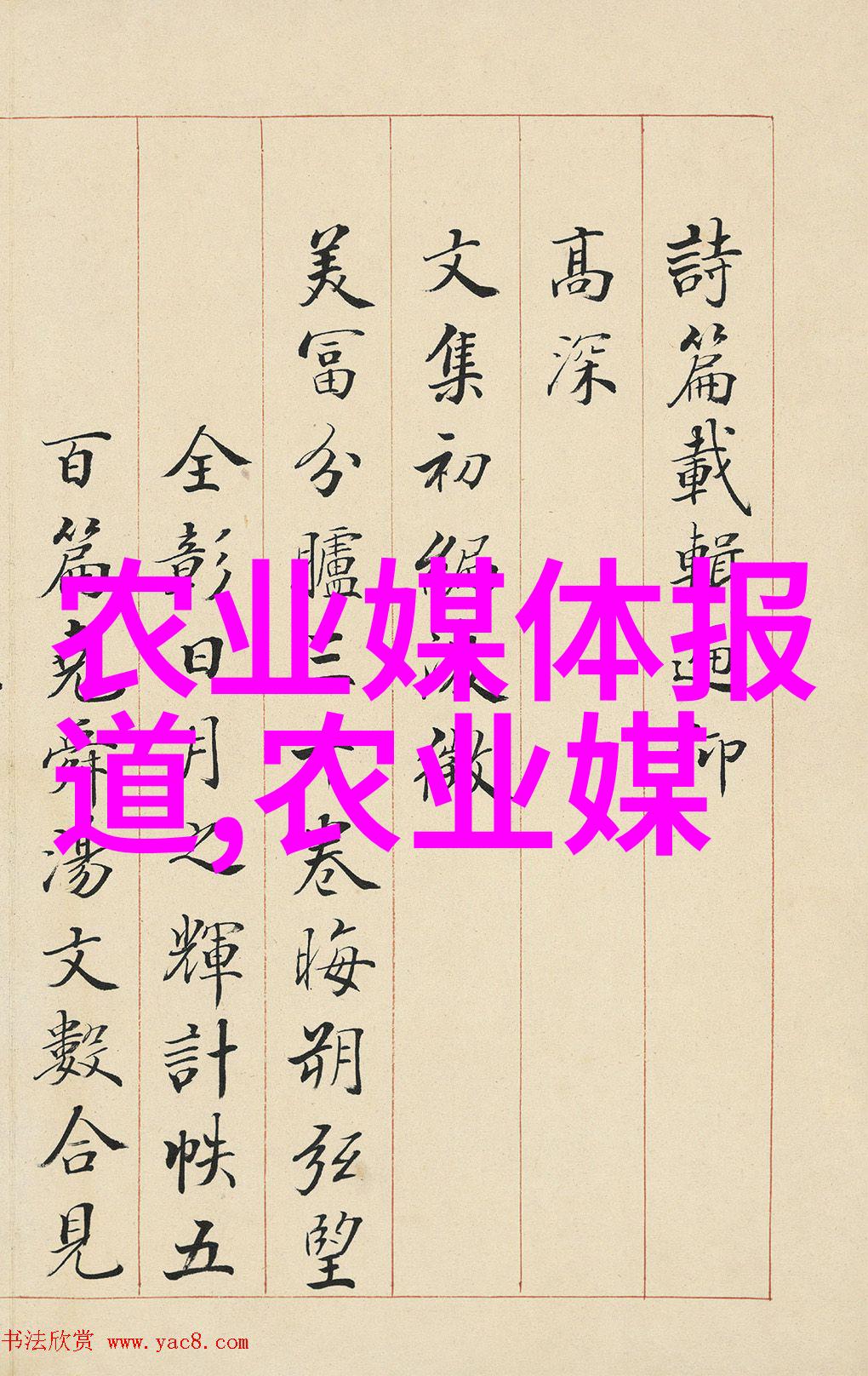 岳女共夫张淑芬的韩剧故事