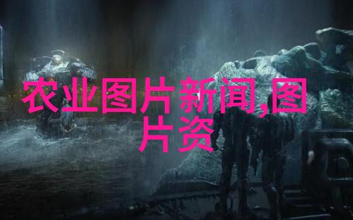 使用挖树机对环境造成了什么影响