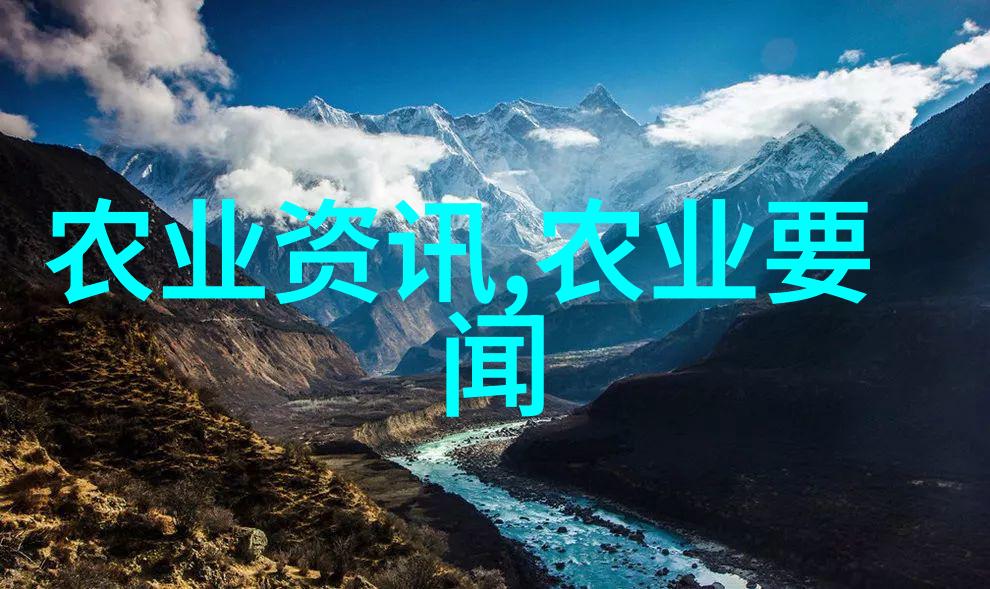 精研学术奋勇争先国际教育学院第一期国际学生
