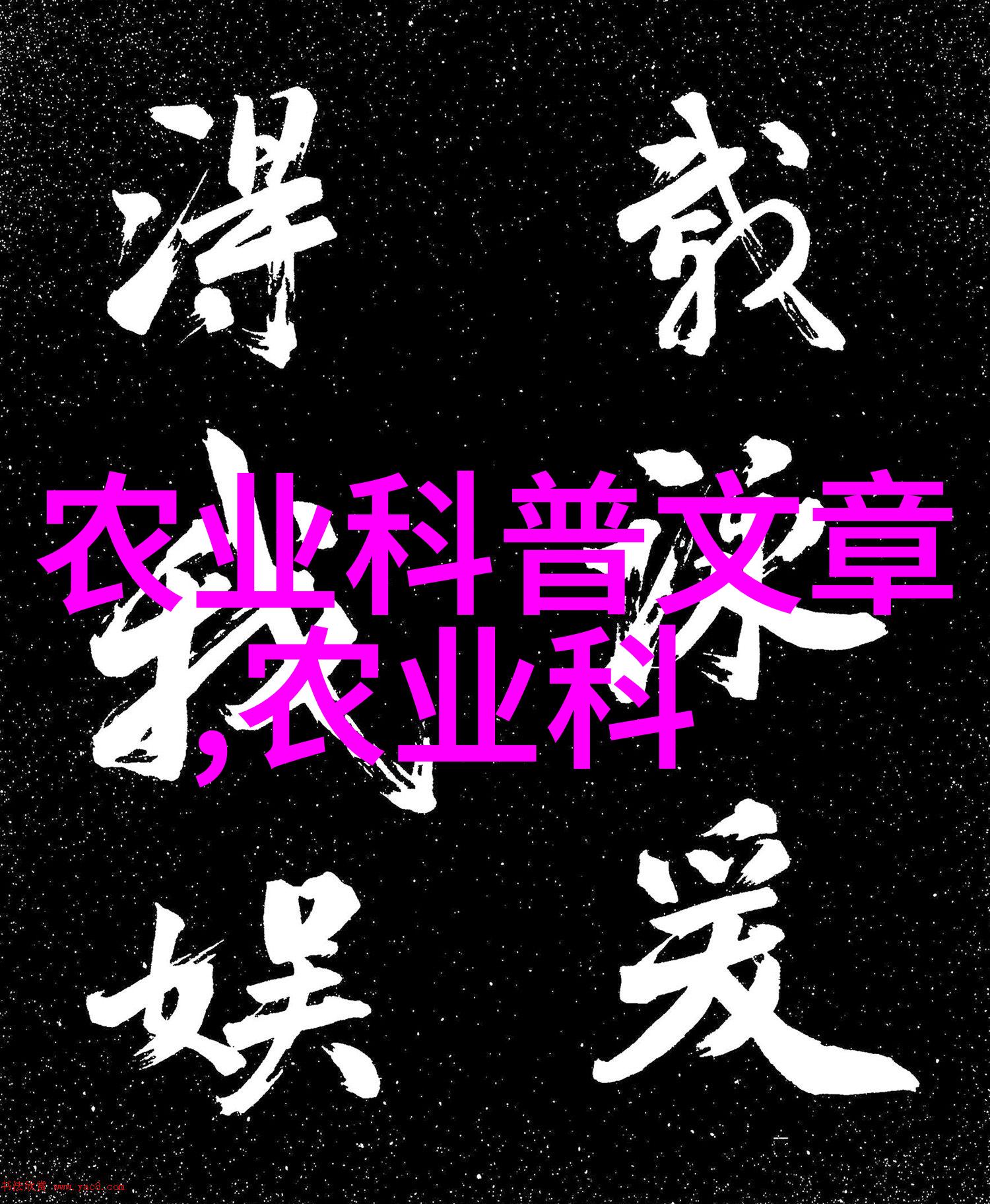 农机工业协会在新时代农业现代化推进中的作用与挑战研究