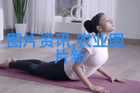 探秘森林之桌一本不为人知的野菜食谱